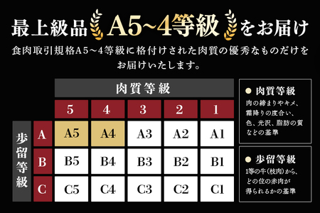 飛騨牛 A5～4等級 しゃぶしゃぶ用 (特選ロース) 700g (A01-010)