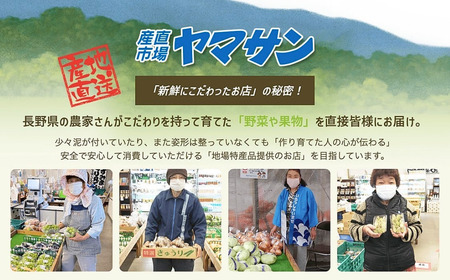 【2026年先行予約】千曲市産 りんご 訳あり サンふじ 約10kg| りんご 信州産 長野県 千曲市