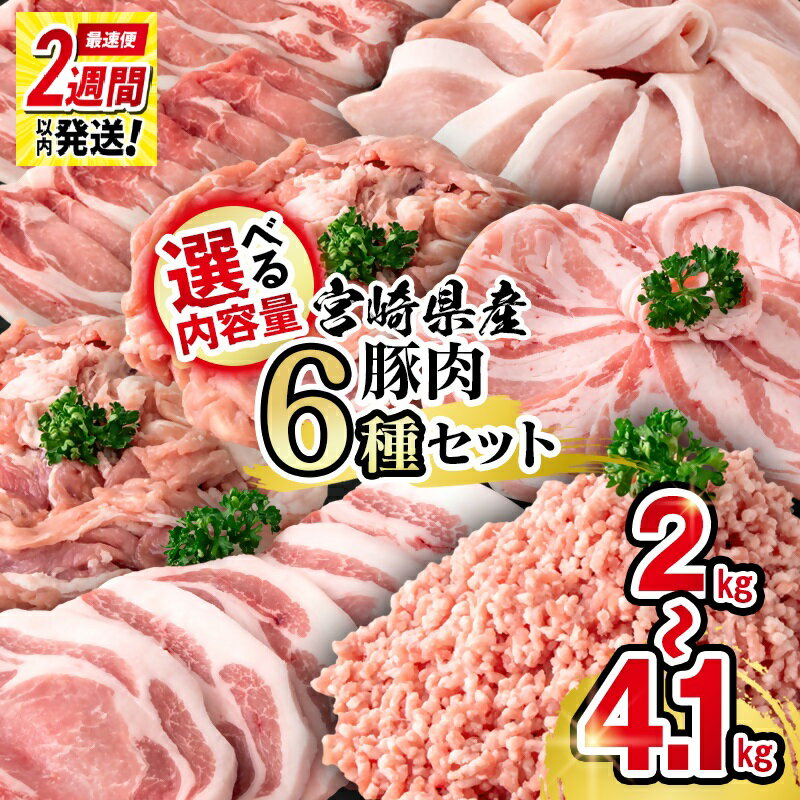 【ふるさと納税】宮崎県産豚肉6種バラエティセット　選べる内容量（2kg・3kg・4.1kg）「数量限定」 宮崎県 西都市 国産 小分け YA ☆