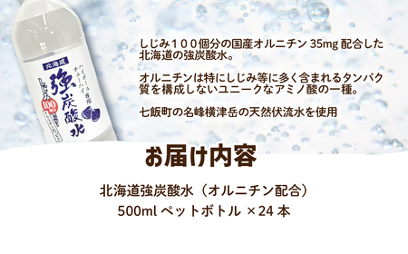 北海道強炭酸水（オルニチン配合）（500mlペットボトル） NAQ011