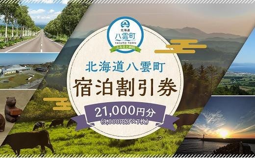 北海道八雲町　宿泊割引券3,000円分×7枚【 宿泊券 割引券 旅行 ホテル ホテルチケット 観光 宿泊 ご当地 八雲町 北海道 】