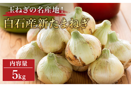 【玉ねぎの名産地！】白石産新たまねぎ 約5kg【道の駅しろいしカンパニー】 [IAA030]