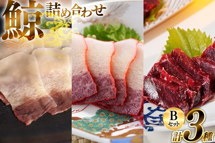 
            AJ150 美味しい 鯨 3種詰め合わせBセット 計310g( 背肉 ベーコンスライス すえひろスライス ) [ くじら クジラ 鯨肉 湯引き 簡単調理 おつまみ 肴 珍味 日野商店 長崎県 島原市 ]
          