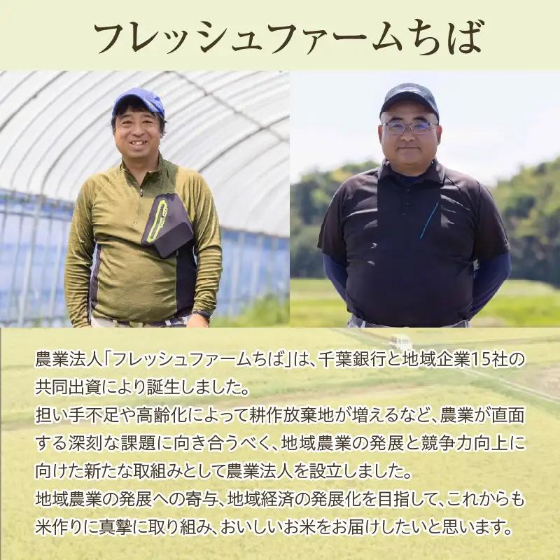 みなよし米 【定期便】 【市原産コシヒカリ】5kg×6回 計30㎏ お届け