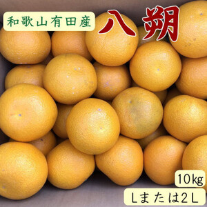 【日高町】【手選果】有田産の八朔約10kg(Lまたは2Lサイズいずれかお届け)【1481711】