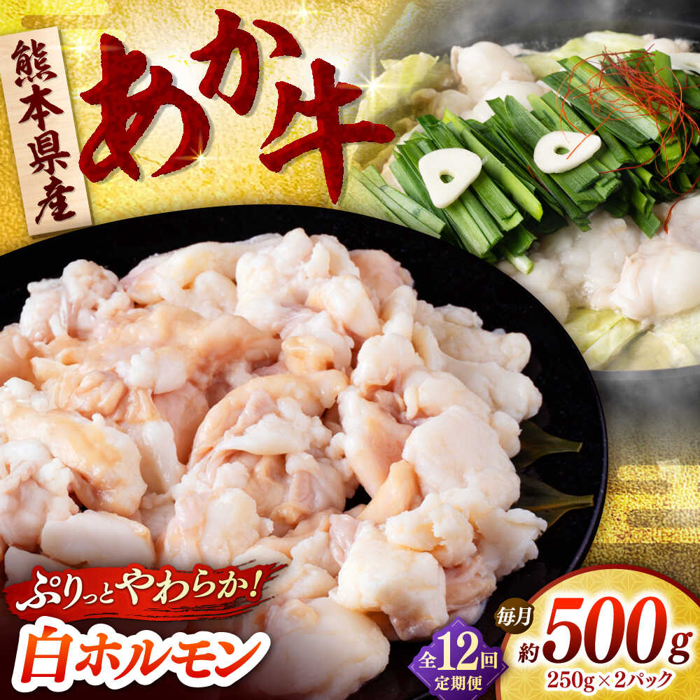 【ふるさと納税】【全12回定期便】あか牛 白 ホルモン 500g (250g×2P) 【合同会社　長岡フーズ】[ZFR052]