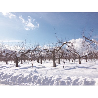 青森県産りんごジュース詰合せ　TM-P2A【1659028】