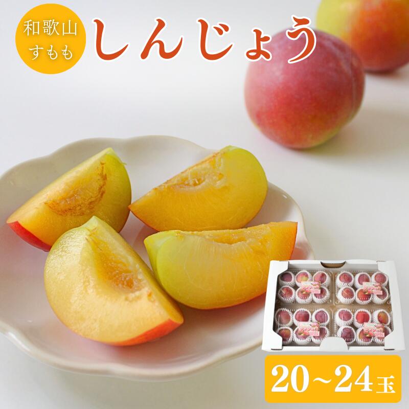 【ふるさと納税】 ＜先行予約＞すもも（しんじょう）4パック ※2026年6月中旬～6月下旬頃に順次発送予定【期間限定・数量限定】 / スモモ プラム 冷蔵 季節限定 お取り寄せ 産地直送 贈答品 ギフト 果物 フルーツ 田辺市 和歌山県