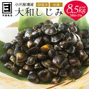 【ふるさと納税】砂抜き済みで手間いらず！冷凍・小川原湖産大和しじみ8.5kg（500g×17袋）【02408-0031】# 大和しじみ しじみ 小川原湖 東北町 青森県 砂抜き 冷凍 対島商店