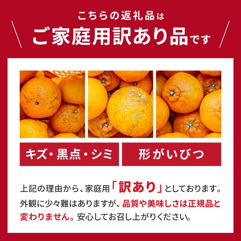 【2027年発送 先行予約品】