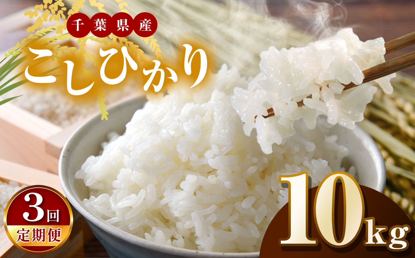 
                  【令和7年産】【3回定期便】君津市産こしひかり（精米）10kg  | JA さだもと 米 こめ お米 おこめ 白米 精米  千葉県 君津市 きみつ
                