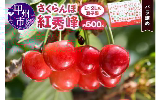 さくらんぼ童夢の「紅秀峰」バラ詰め（約500g L～2Lサイズ＆双子果）【2025年発送】（DOM）B-154