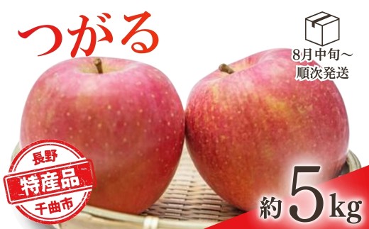 りんご つがる 約5kg | りんご 林檎 リンゴ 信州りんご 長野県 千曲市
