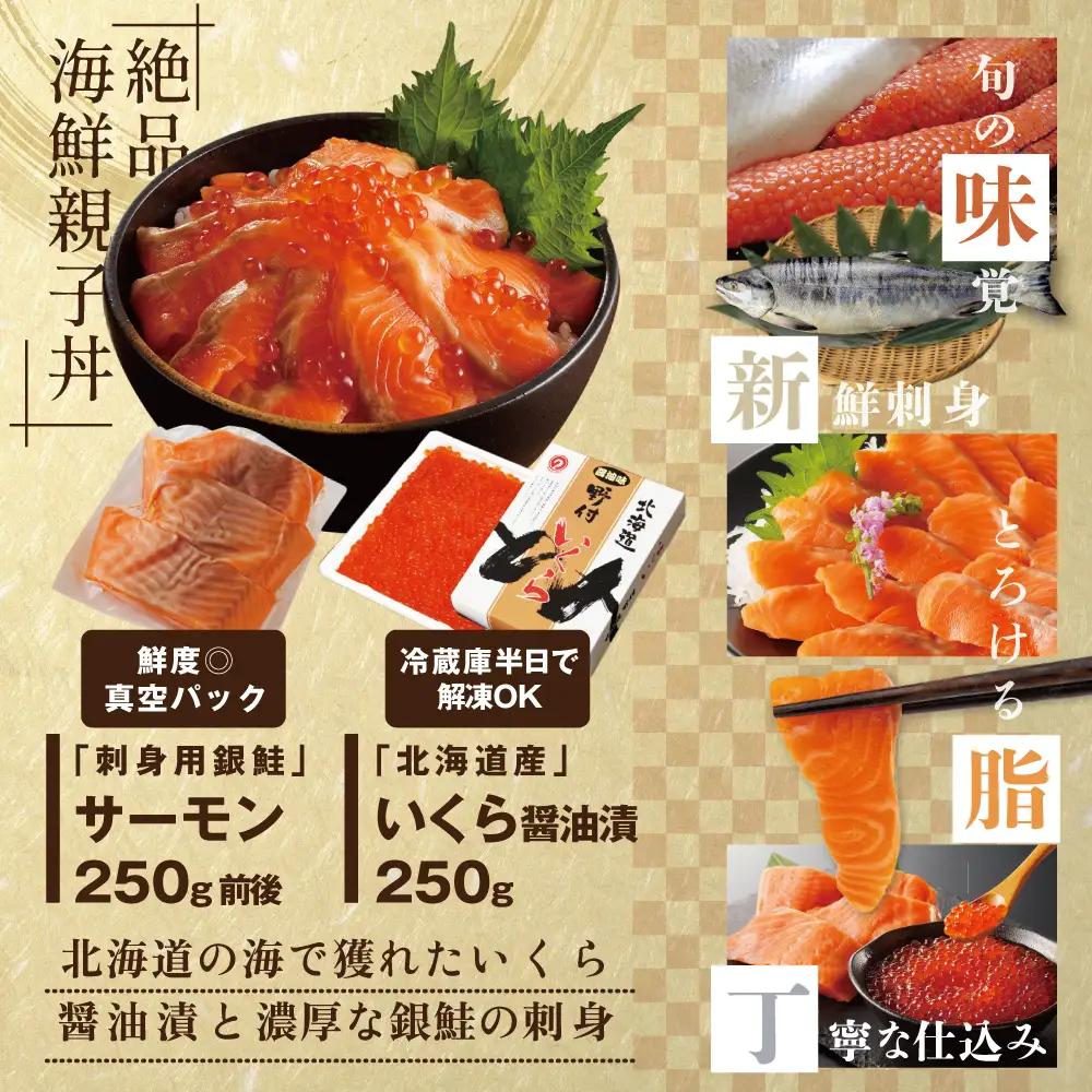 サーモン ･ いくら 海鮮福袋セット 各250g （ 海鮮福袋セット サーモン いくら イクラ 鮭卵 醤油漬け セット 北海道 人気 ふるさと納税 ）