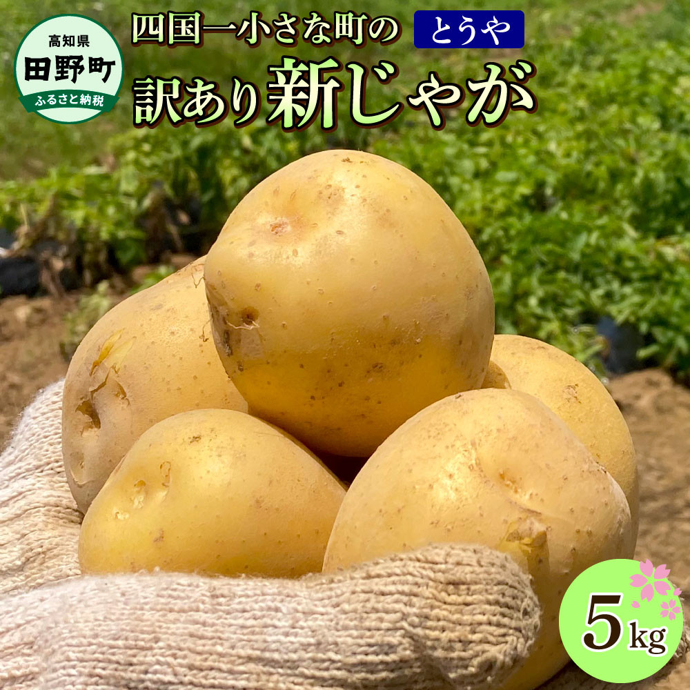 
            【ふるさと納税】★先行受付：2025年5月発送開始予定★大野台地で採れた 令和7年産新じゃがいも『とうや』5kg 訳あり品 5キロ トウヤ イモ 新じゃが ジャガイモ 芋 いも ポテト 野菜 おいしい なめらか 旬 国産 お取り寄せ 常温 配送 送料無料 高知県 田野町 故郷納税 返礼品
          