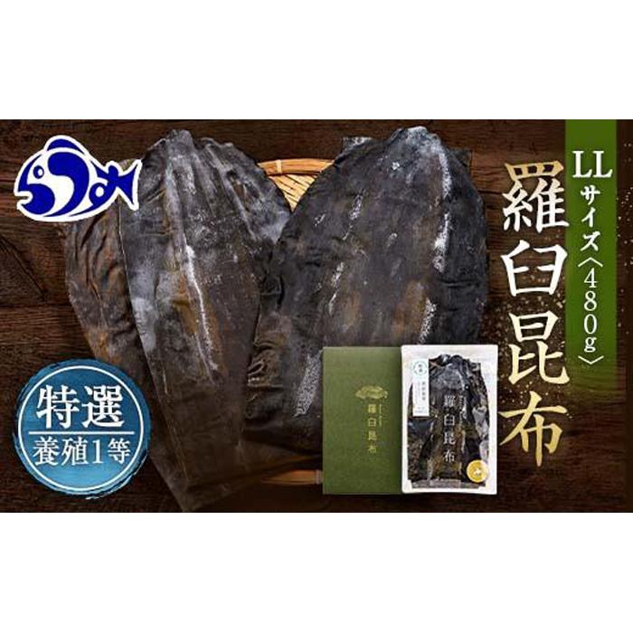 羅臼昆布 養殖 1等 480g(LLサイズ480g×1個) 北海道 知床 羅臼産 生産者 支援 応援