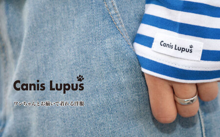 ボーダーロングTシャツ ホワイト×ブルー （S-XL） / Tシャツ / 佐賀県 / Canis Lupus [41AAAN012]