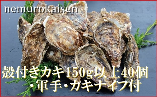D-57028 【北海道根室産】殻付カキ150g以上×40個