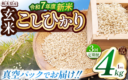 【栃木県共通返礼品】【先行予約】【定期便3回】【数量限定】令和7年度新米 栃木県産こしひかり（玄米真空パック） 2kg×2  | 定期便あり 玄米 精米 お米 コメ こしひかり 先行予約 ブランド米 栃木県 特産品  下野市 送料無料