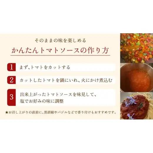 【8月下旬発送開始】 ミニトマト 約 230g × 4パック 【 あめつち農園 】 [BP001tu]