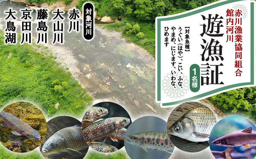 
            雑魚　遊漁証（赤川漁業協同組合管内河川）【期間：令和7年4月1日～9月30日まで】
          