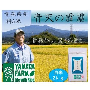 【さつき米】青森県産米「青天の霹靂」白米 2kg_ 精米 米     米 こめ コメ_【1484847】