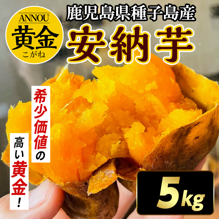 n174 ＜期間限定！先行予約受付中！2025年9月下旬頃から12月中の発送予定＞種子島産 安納芋＜黄金＞(5kg) 国産 安納芋 黄金 種子島 芋 さつま芋 生芋 安納いも 野菜 焼芋 焼き芋 こがね 【うずえ屋】