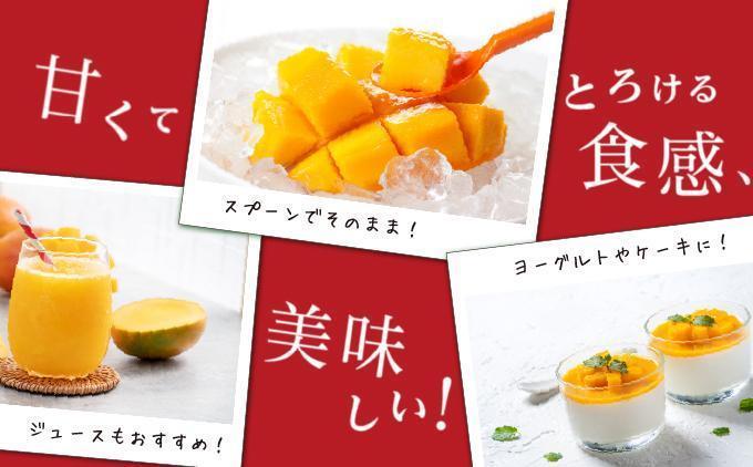 マンゴー2kg　贈答用