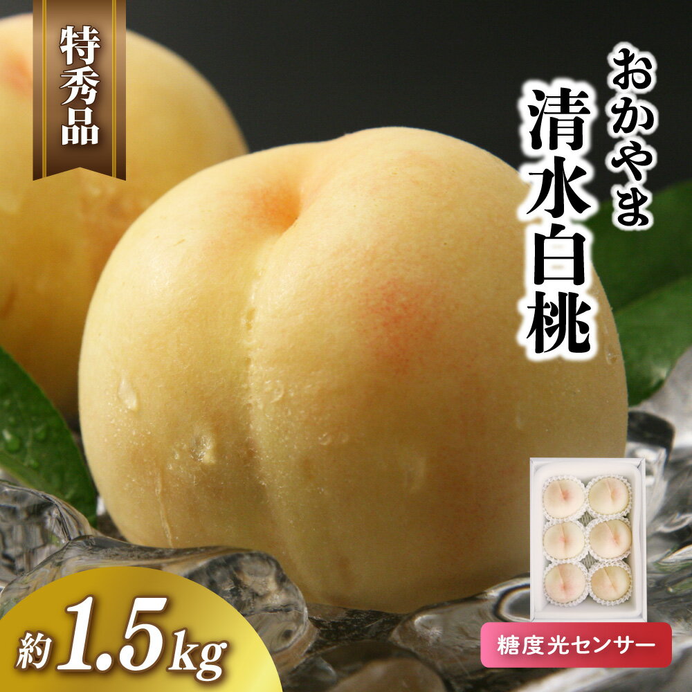 【ふるさと納税】 おかやま 清水白桃 特秀品 約1.5kg 【2026年先行予約】 糖度センサー 桃 白桃 清水白桃 岡山県産 贈答 お中元 ギフト 産直 高級 もも モモ フルーツ 果物 くだもの 岡山県 【配送不可地域：北海道／沖縄県／離島】 momo27