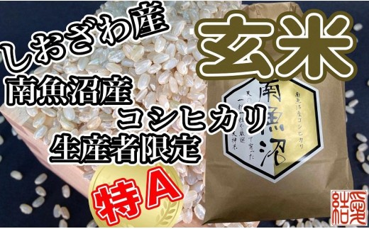 
                  【令和8年産　新米予約】【定期便】玄米 南魚沼しおざわ産コシヒカリ4Kg×6ヶ月【定期便 銘柄米 ブランド米 玄米 こしひかり コシヒカリ 魚沼産 新潟米 産地直送 お米 米 こめ コメ ご飯 御飯 ごはん】【2026年10月上旬から1ヶ月以内に順次発送予定】
                
