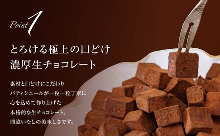 訳あり 濃厚 生チョコレート 約1.0kg 生チョコレート ちょこちょこ