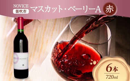 赤ワイン NOVICE マスカット・ベーリーA 720ml×6本 フルボトル 日川中央葡萄酒 山梨県 笛吹市 177-7-31