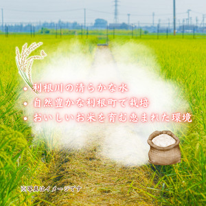 利根町産　コシヒカリ　精米　5kg ／ 米 こめ コメ お米 おこめ コシヒカリ こしひかり 令和7年産 新米 精米 白米 ごはん ご飯 5kg 茨城県 利根町 産地直送 送料無料