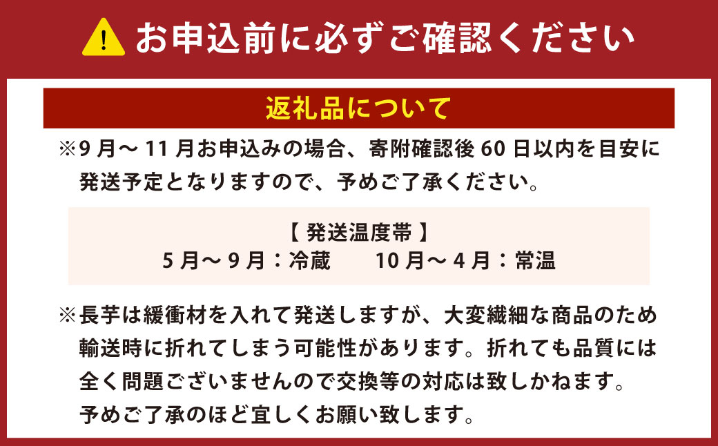北海道十勝産ながいも 6本セット【A51】