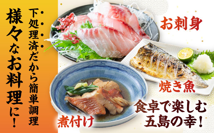 超速冷凍鮮魚7種（5種+焼物用2種）五島市/金沢鮮魚 [PEP068]