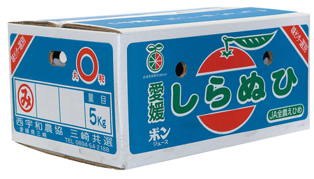 【先行予約】不知火（生果5kg）※離島への配送不可（2026年2月上旬より順次発送予定） IKTBD011