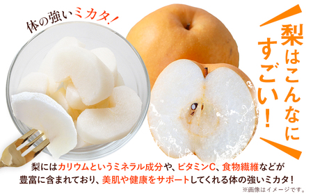 梨 旬の梨 約 2.8kg ～ 3kg 豊水 あきづき のいずれか 旬 中村果樹園 《8月下旬-9月中旬頃出荷》熊本県 荒尾市 なし フルーツ 果物 新鮮  美味しい梨 旬の梨 ジューシー梨 フルーツ