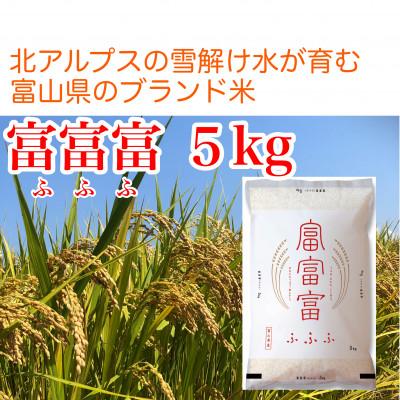 ふるさと納税 魚津市 【毎月定期便】【6ヶ月定期便】富山県産米「富富富」5kg(精米)全6回