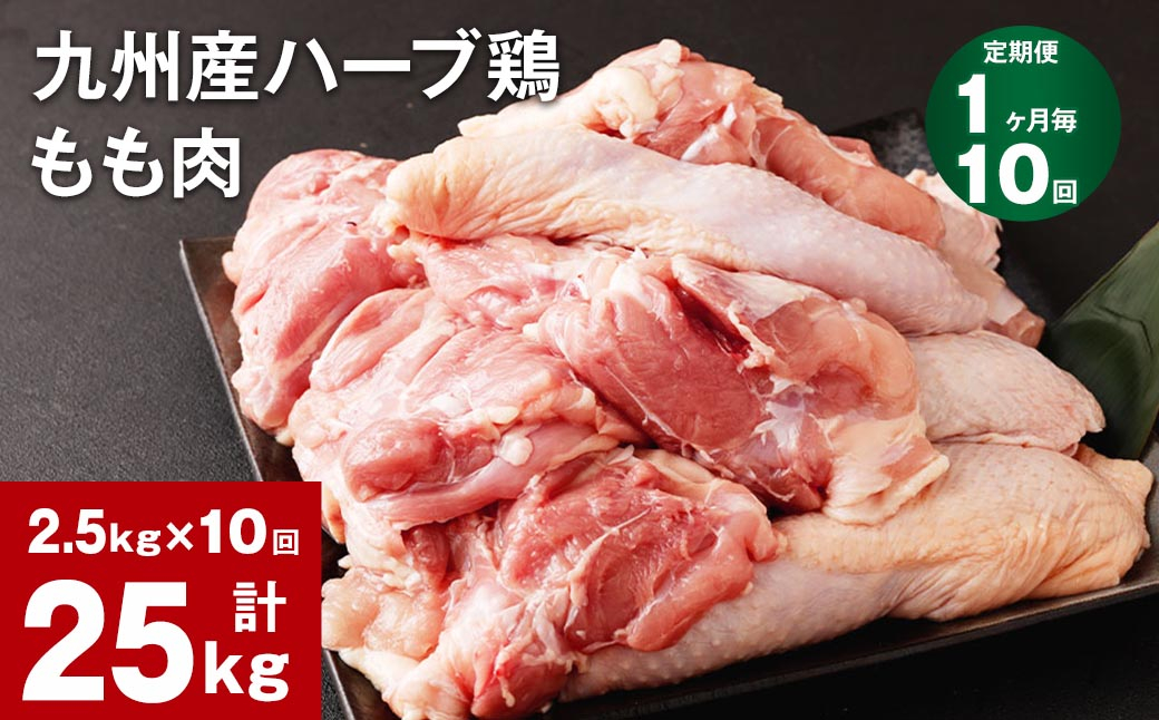 【1ヶ月毎10回定期便】九州産ハーブ鶏 もも肉