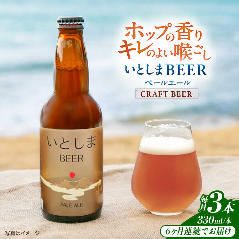 【ふるさと納税】【全6回定期便】 いとしまBEER (ペールエール) 330ml×3本 糸島市 / 蔵屋 クラフトビール[AUA048] クラフトビール ビール 常温 53000円 5万3千円