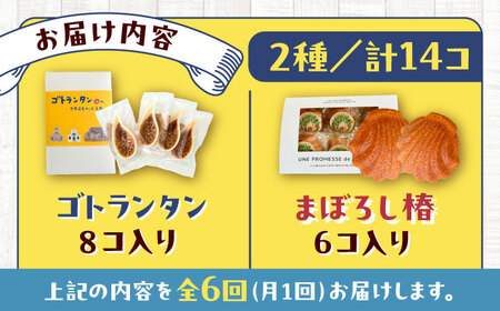 【全6回定期便】世界遺産の旅セット ゴトランタン8個とまぼろし椿6個  五島市/uncalin[PGK019]