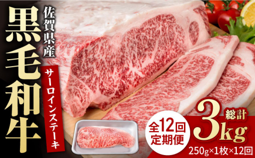 【12回定期便】佐賀県産 黒毛和牛 贅沢 サーロインステーキ 250g×1枚【いろは精肉店】佐賀県産 佐賀産和牛 牛肉 国産 肉 和牛 サーロイン ステーキ さーろいん すてーき 冷凍 白石町 九州 定期便 人気 高評価 九州 佐賀県 白石町 [IAG086]