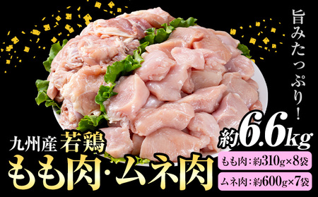 九州産 若鶏もも肉 約2.48kg(約310g×8袋)、若鶏むね肉 約4.2kg(約600g×7袋）合計約6.6kg《30日以内に出荷予定(土日祝除く)》