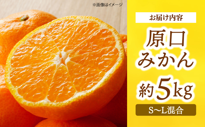 【11月中旬より順次発送】原口みかん 約5kg＜道の駅さいかい みかんドーム＞ [CAI039]