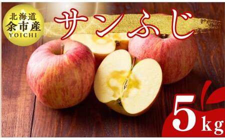 【先行受付：2024年12月下旬以降発送】余市産 サンふじ 松村農園産のりんご 5kg_Y067-0168