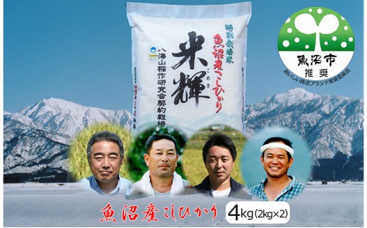 
                  【令和8年産 先行予約】【新潟県認証・特別栽培米】魚沼産こしひかり(精米)４kg(2kg×2) お米 コシヒカリ 
                