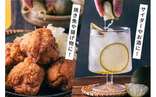 へべす 果汁 シロップ HEBESU 100％へべす果汁(150ml×2本)へべすシロップ(120ml×1本)計3本セット [ひむか農園 宮崎県 日向市 452060727] 酢 ポン酢 調味料 飲料