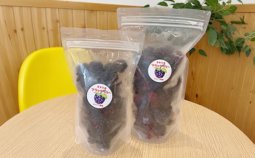 【冷凍】喜多方市産ブラックベリー　1kg　【07208-1038】