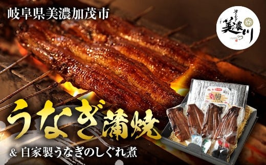 活 うなぎ 専門「美濃川」うなぎ蒲焼 2尾 と 自家製 うなぎのしぐれ煮 100gのセット ｜国産 鰻 かば焼き しぐれ しぐれ煮 たれ 山椒 わさび 付き セット 冷凍 小分け M24S22