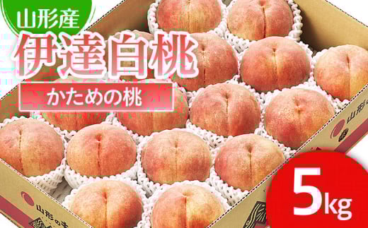 山形市産 桃「伊達白桃」 秀以上 5kg(13玉～18玉)[かための桃] 【令和7年産先行予約】FS24-624くだもの 果物 フルーツ 山形 山形県 山形市 2025年産